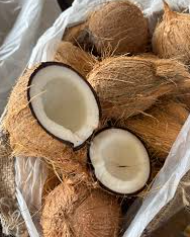 Coconut